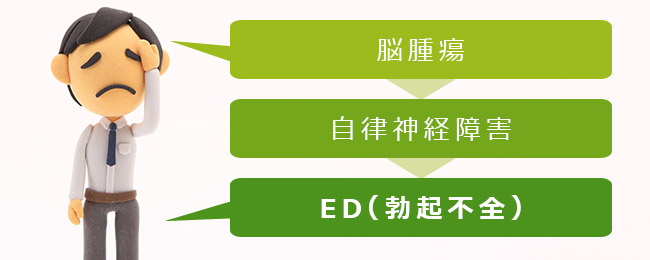 脳腫瘍が直接の原因でなく、自律神経障害に陥ることによりEDになる可能性が上がります